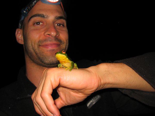 Kerry and Litoria chloris