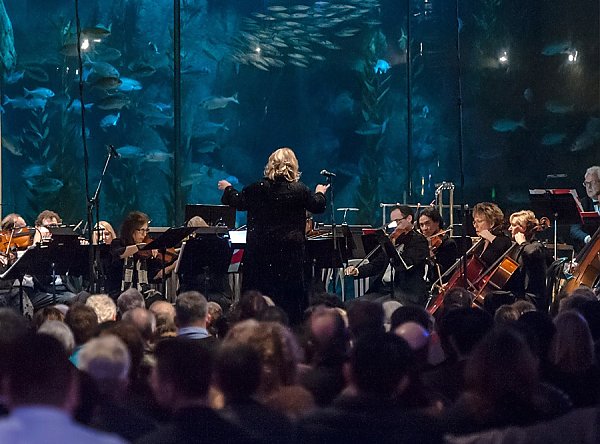 Musique Sur La Mer at the Aquarium