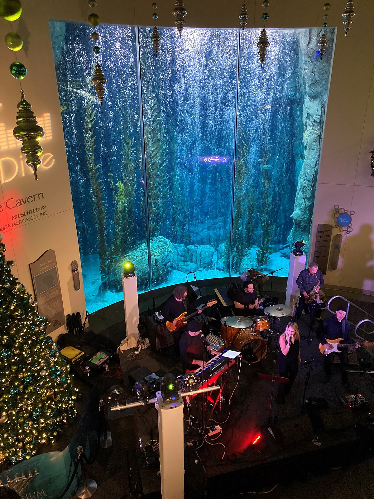 band plays on the Honda Blue Cavern Stage during New Year's Eve presented by Night Dive