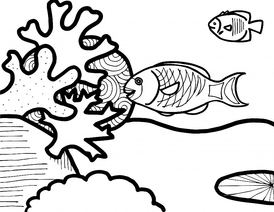 Parrotfish_Drawing_page-01.jpg