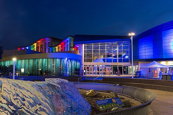 rainbow lights in celebration of Pride illuminate the exterior of the Aquarium building