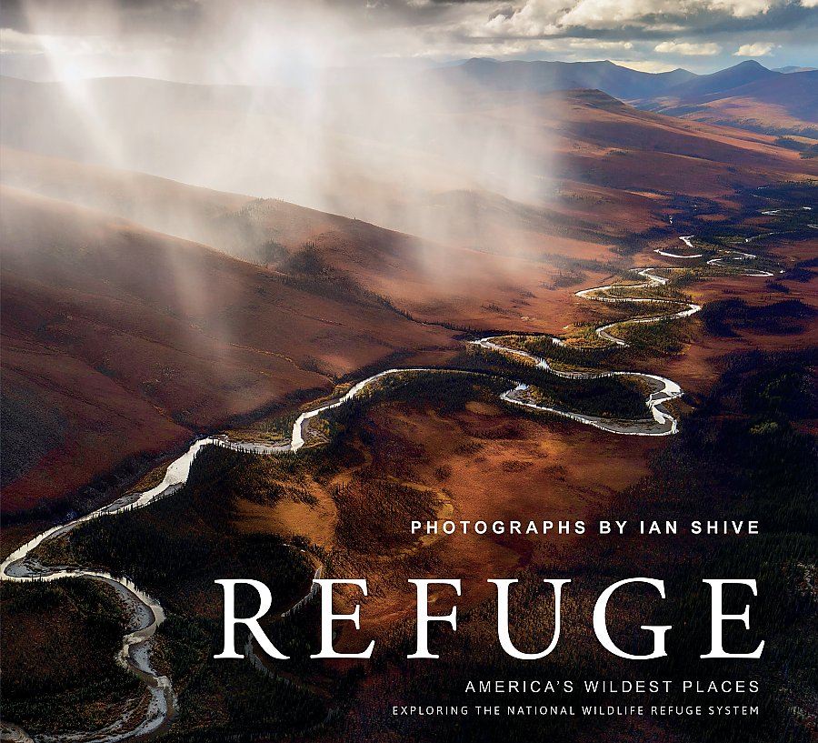 Refuge book cover