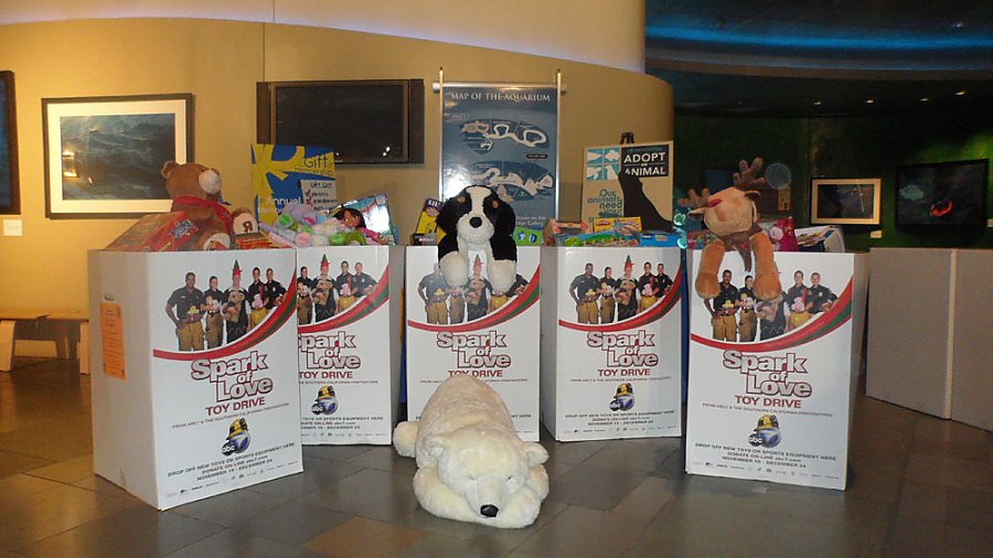 Spark of Love toy drive