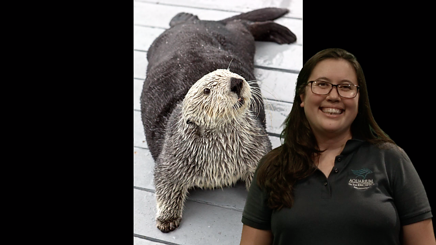 Smiling female educator in front of a picture of a sea otter