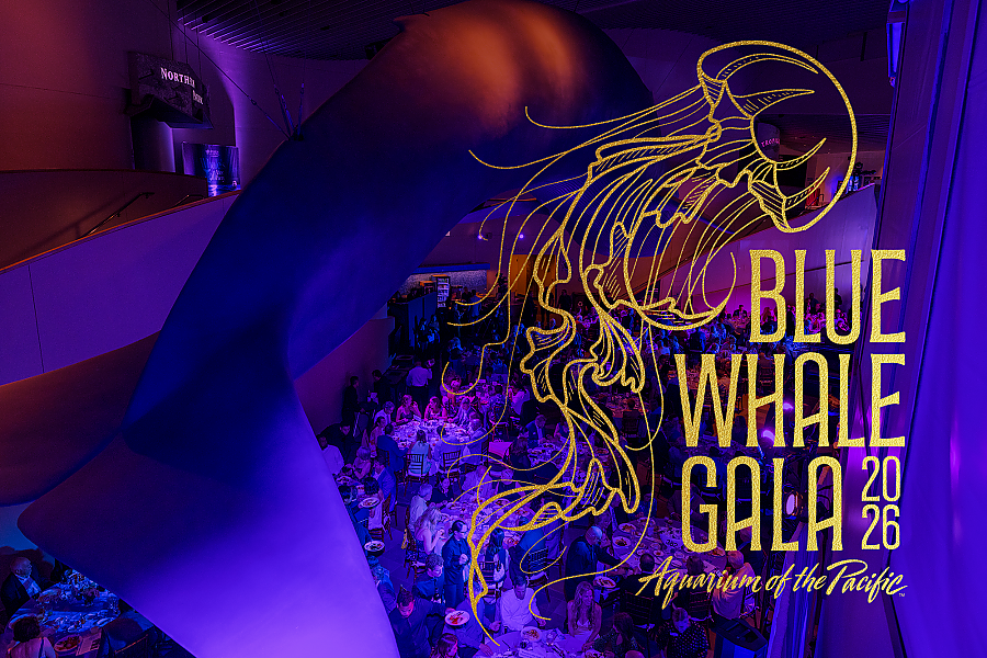 Blue Whale Gala 2026 - Aquarium of the Pacific