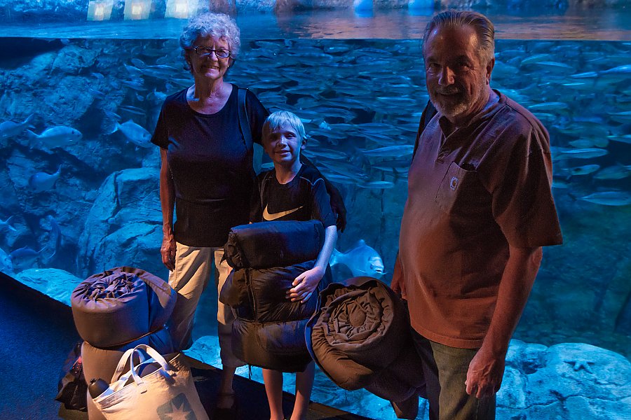 Family with sleeping bags in front of otter exhibit