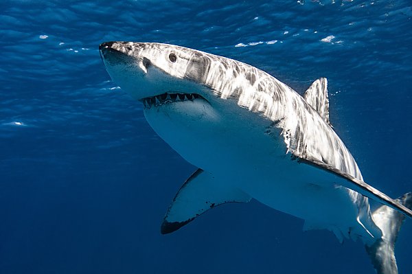 /images/events/iStock-1399799425-web.jpeg{title}{/calendar:mainimageEV}