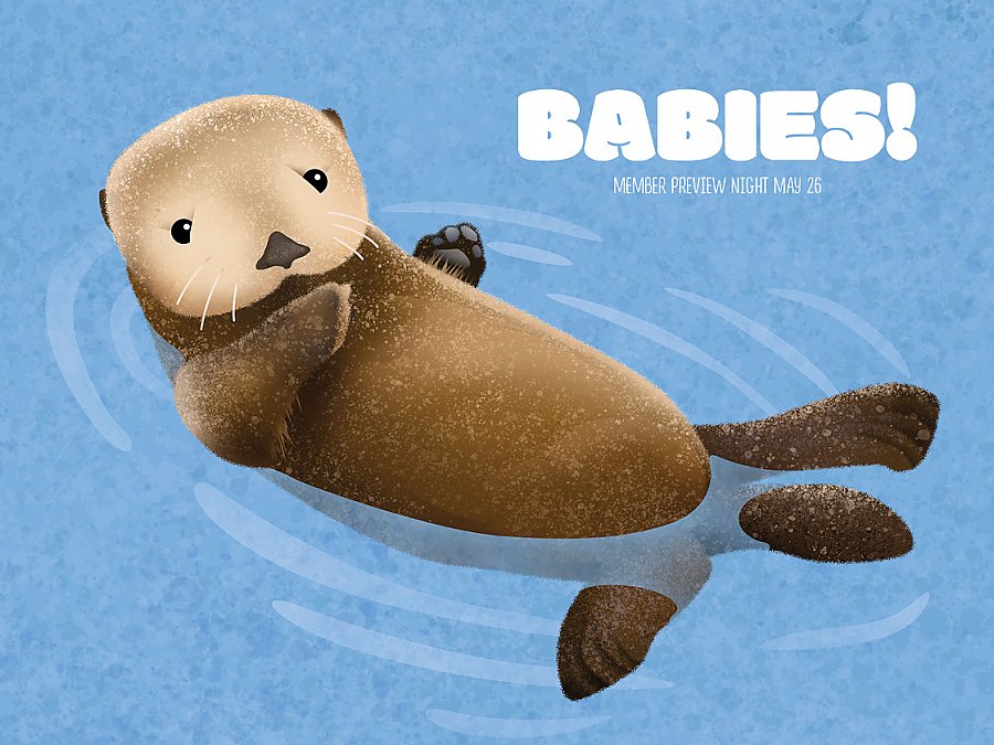illustration of baby otter for member preview night