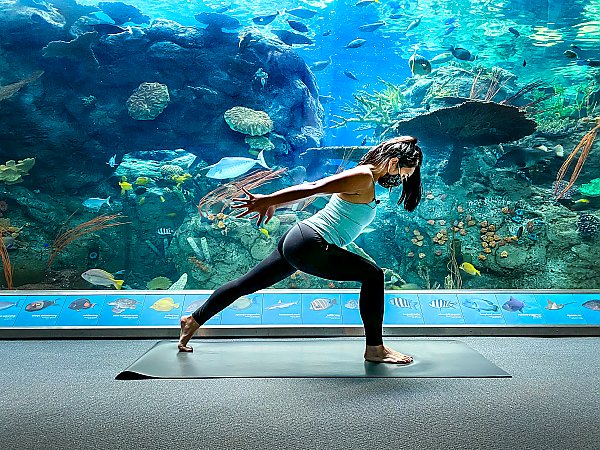 Woman practices yoga in front of a vast tropical reef exhibit