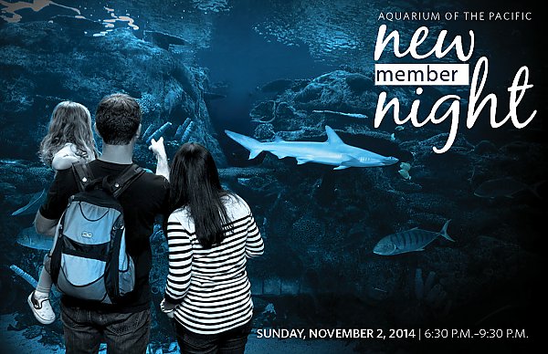 New member night invitation
