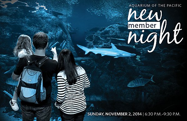 New member night invitation