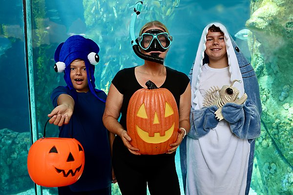 Family of trick or treaters in front large aquarium exhibit