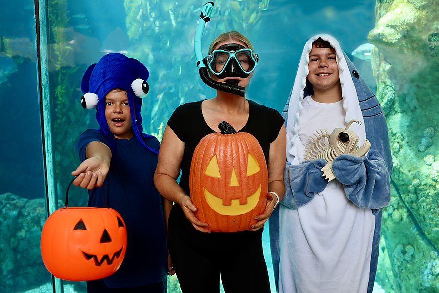 Family of trick or treaters in front large aquarium exhibit