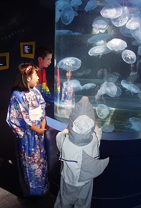 scariumofpacific_-_credit_aquarium_of_pacific.jpg.jpeg