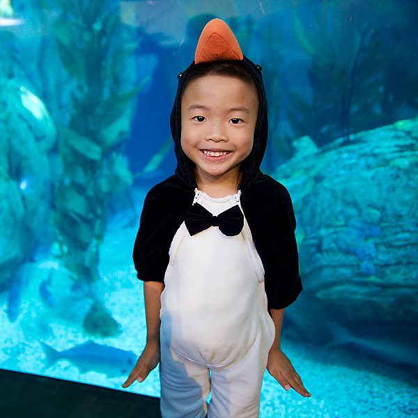 smiling boy in penguin costume