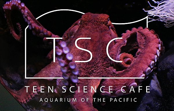 Teen Science Cafe Logo over Giant Pacific Octopus Photo