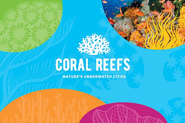 Coral Reefs: Nature