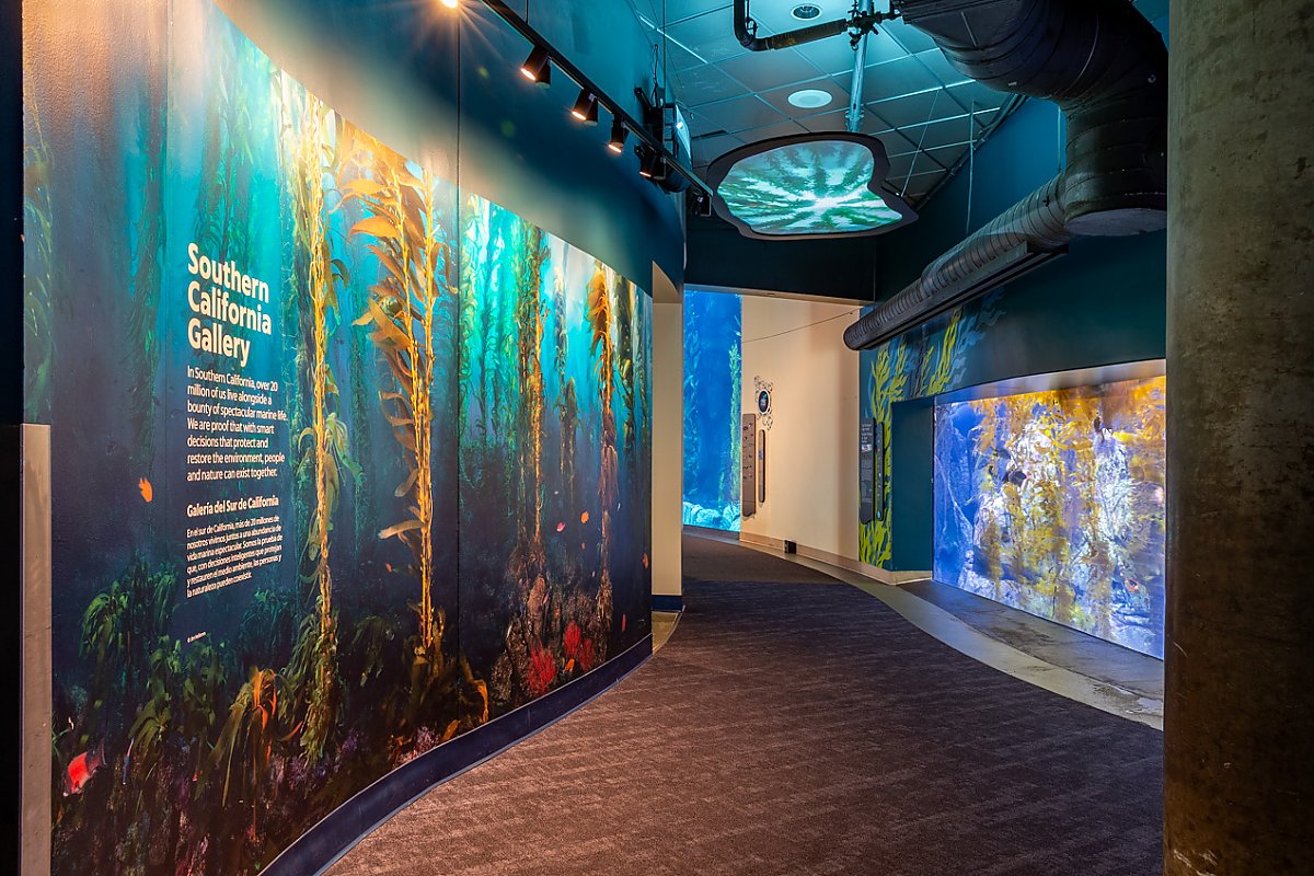 Southern California Gallery exhibit graphic and other exhibits