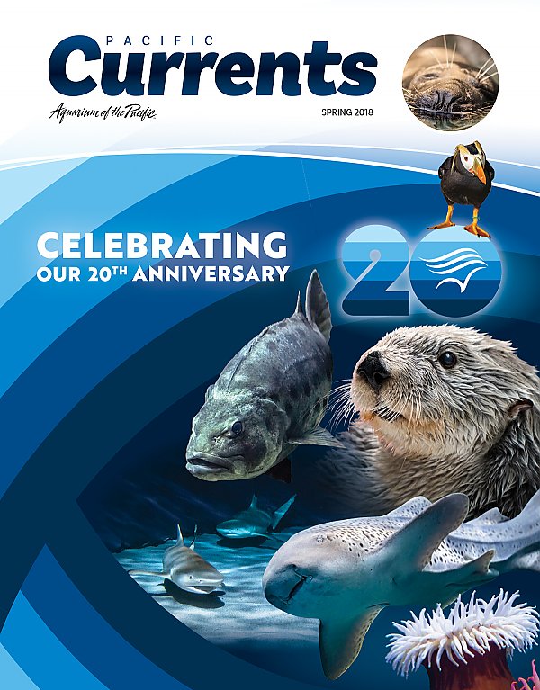 Pacific Currents Spring 2018 Cover