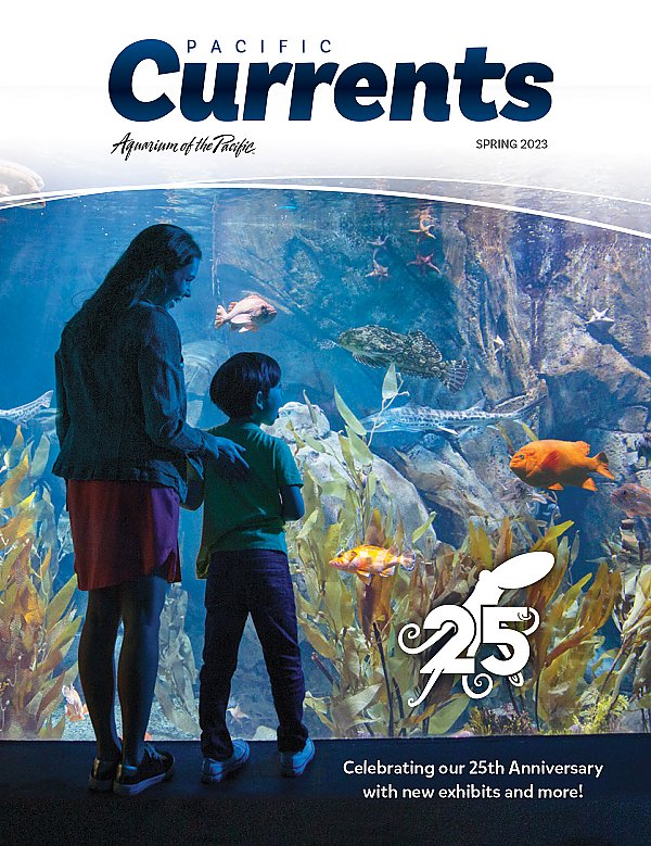Pacific Currents Spring 2023 Cover Celebrating our 25th Anniversary