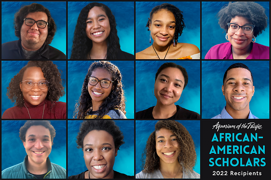 2022 collage of 11 African American Scholar award recipients
