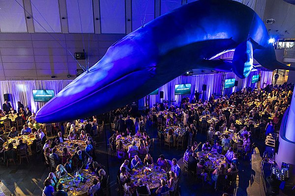 Wide shot of several people in a large hall under a model whale