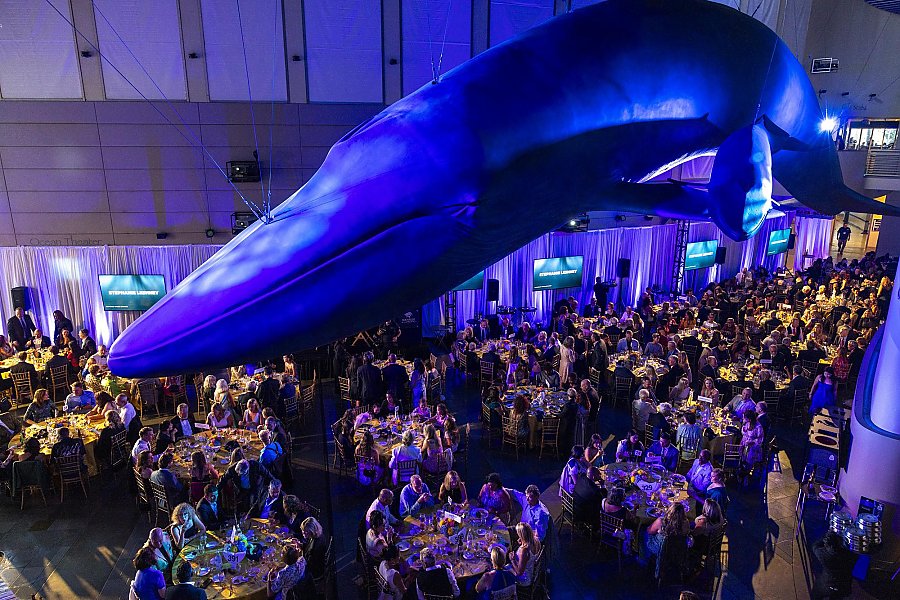 Wide shot of several people in a large hall under a model whale