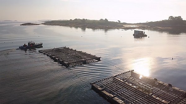 Bangs Island Mussels aquaculture farm