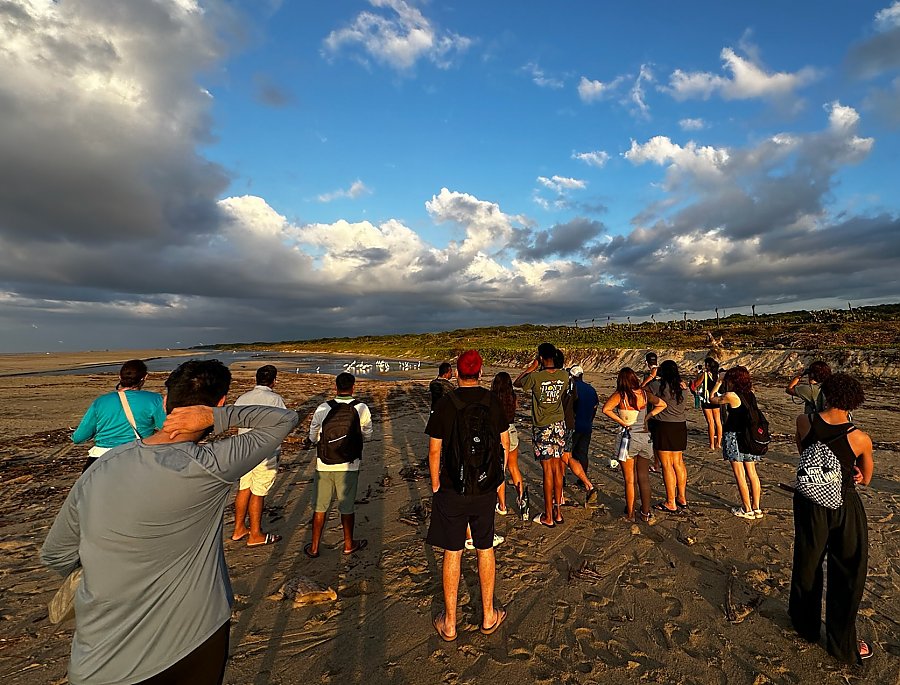 Group of people on a beach looking at a small body of water with white birds