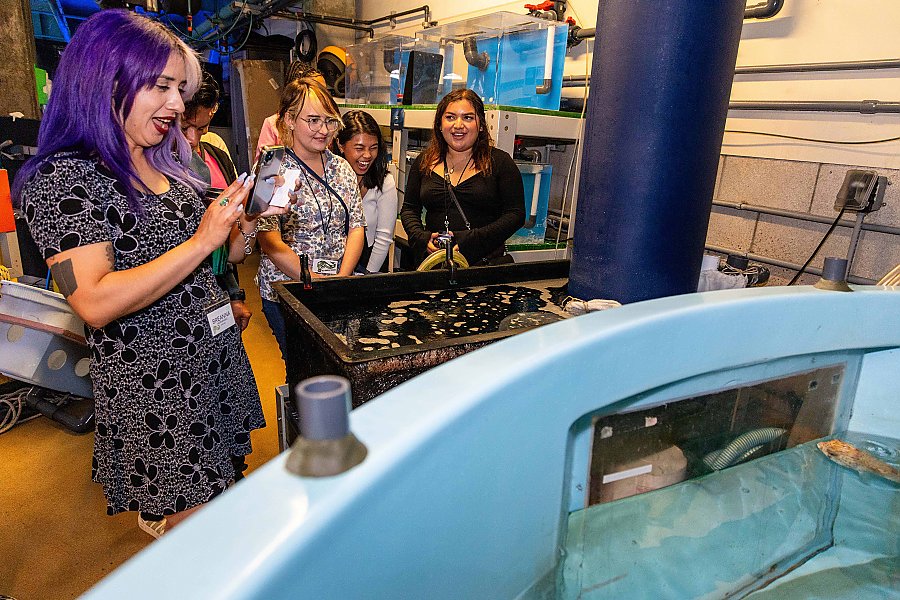 CELP Scholars getting a behind the scenes tour of the Aquarium of the Pacific.