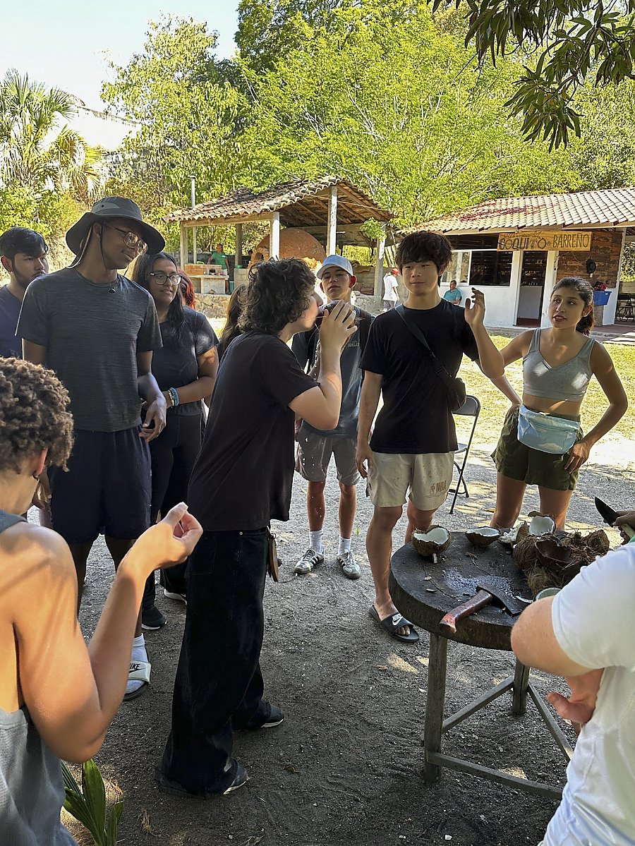 A group of people watch someone drink from a coconut