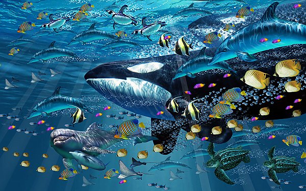 Painting of an orca swimming underwater with tropical fish, sea turtles, dolphins, rays, and penguins