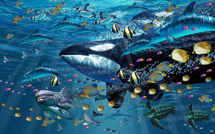 Painting of an orca swimming underwater with tropical fish, sea turtles, dolphins, rays, and penguins