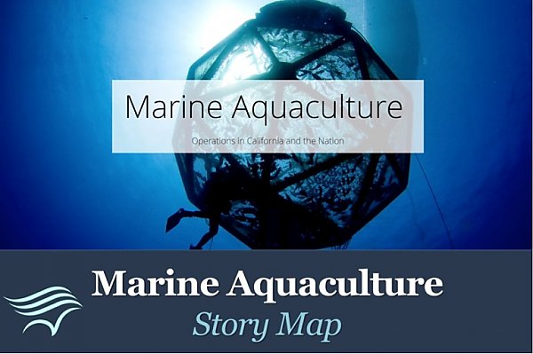 Marine Aquaculture Story Map logo with divers and mesh