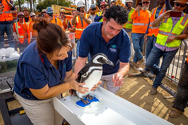 Penguin Signs Beam with Help From Aquarium Staff