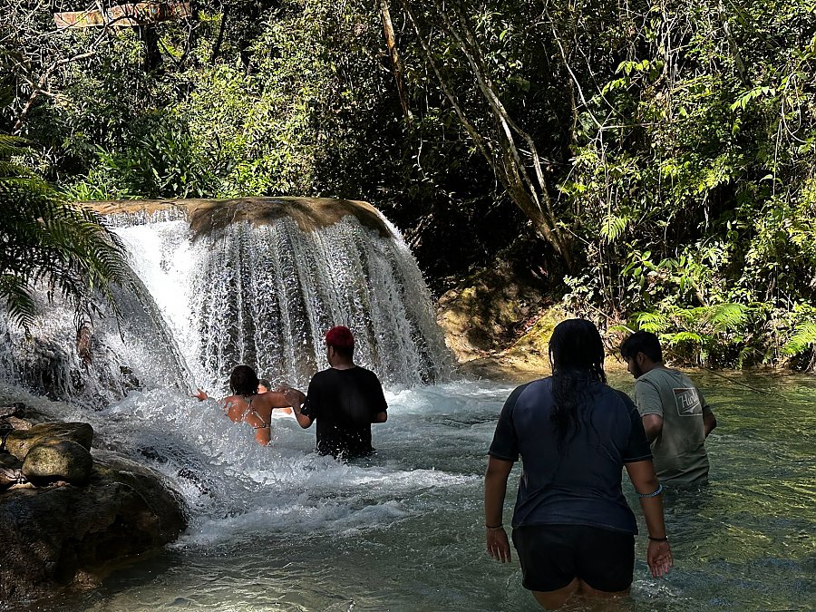 Four people enjoy waterfalls in a jungle