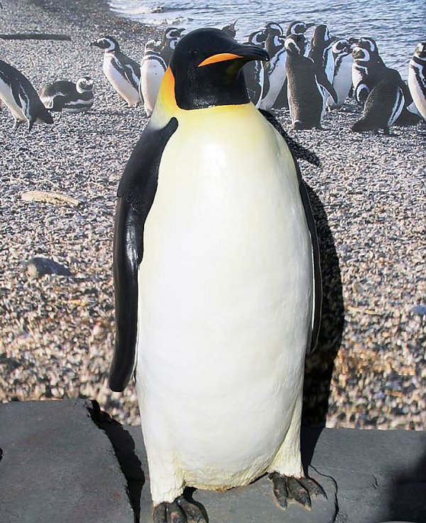 Statue of an Emperor Penguin
