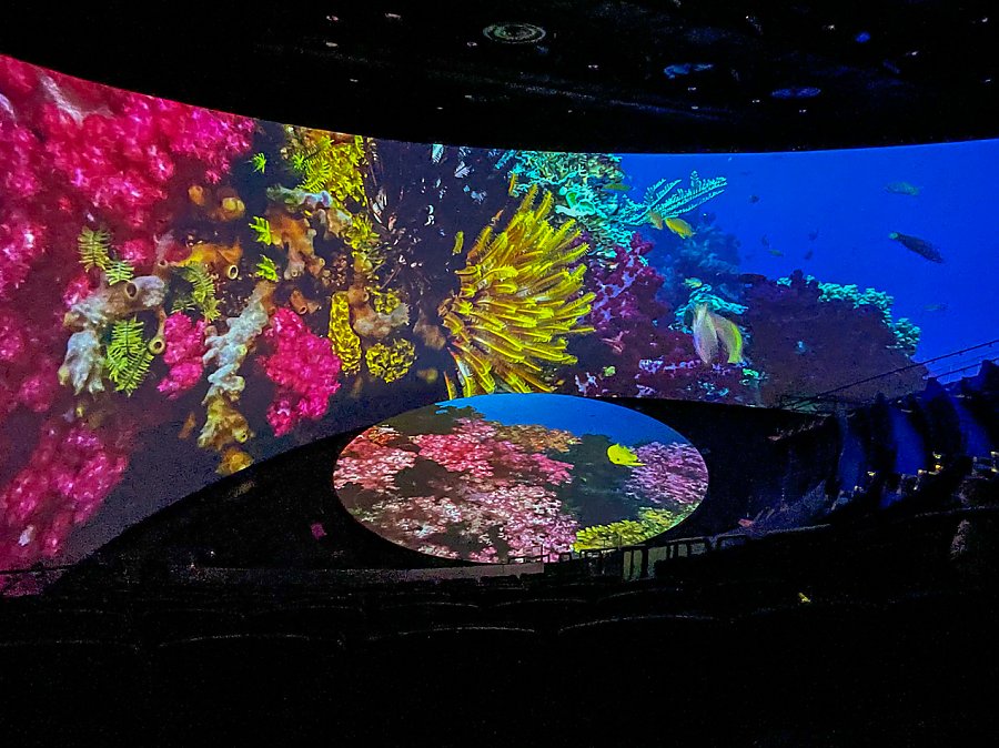 Coral reef film in Pacific Visions theater