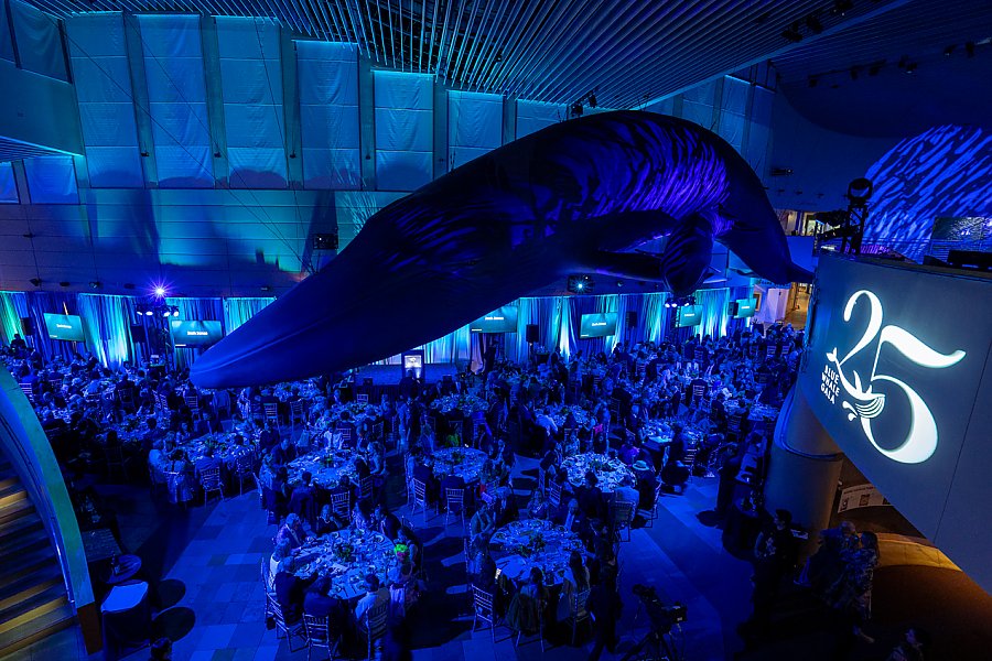 Dark blue Great Hall showing whale and people at tables