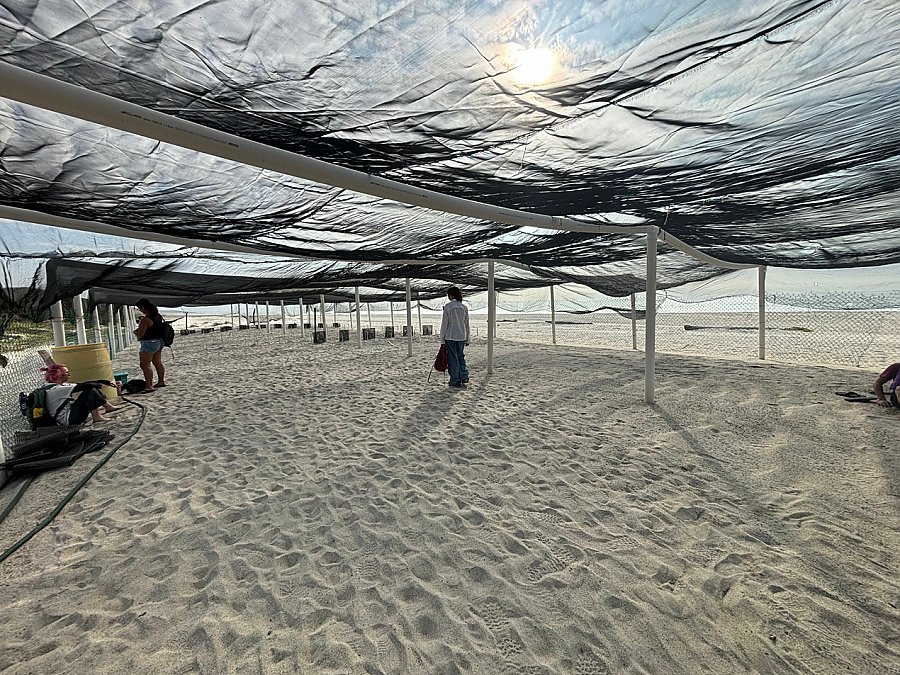 Figures walking below beach sun shade