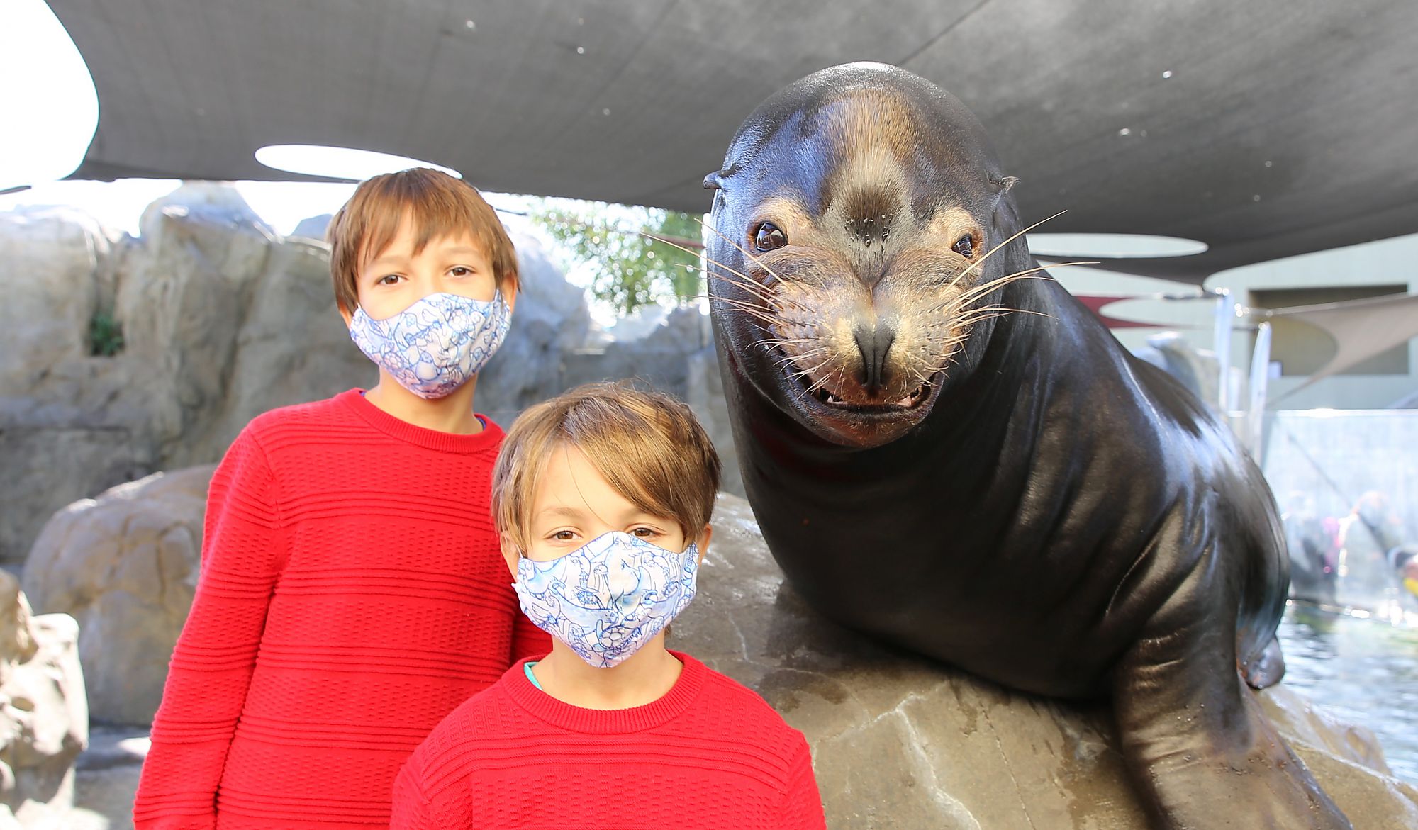 Two masked kids with smiling sea lion