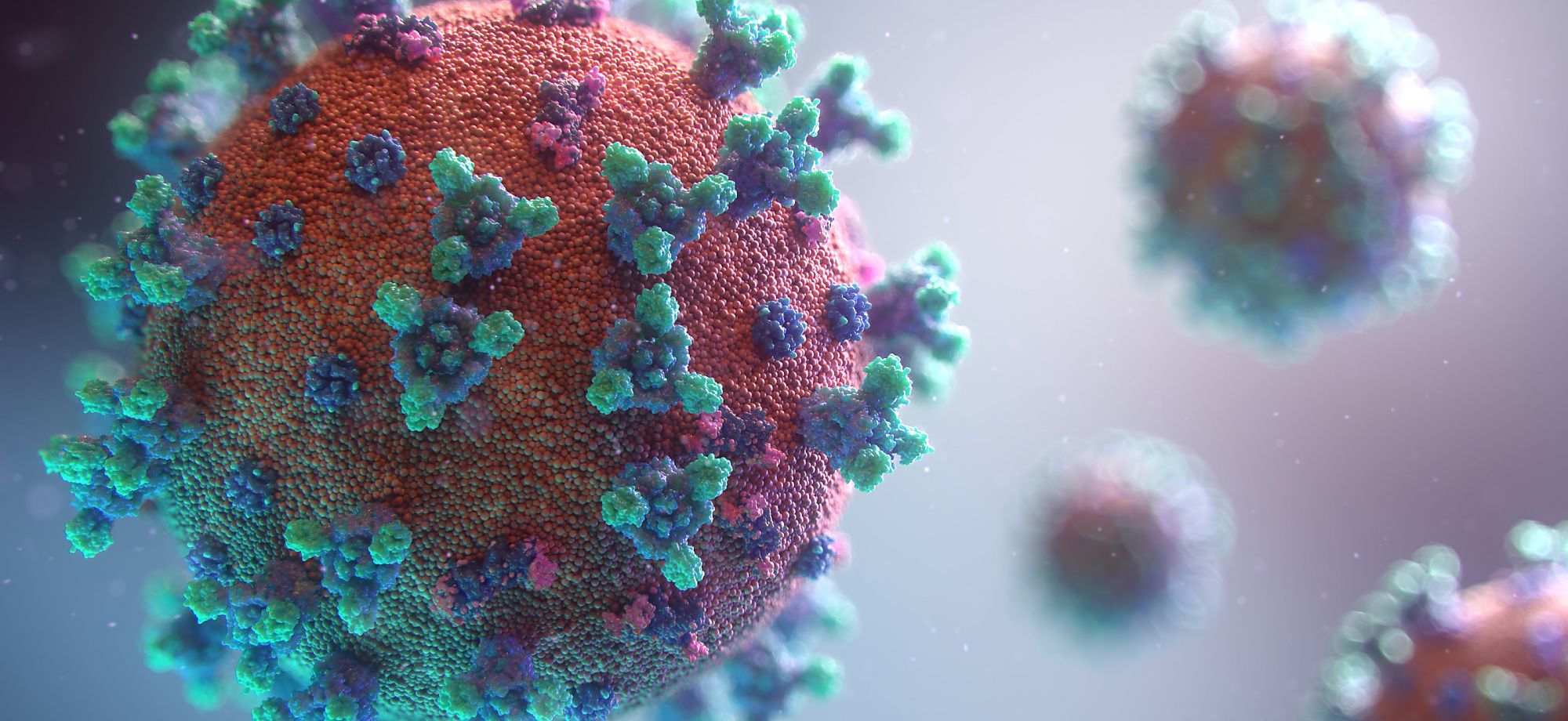 Coronavirus closeup