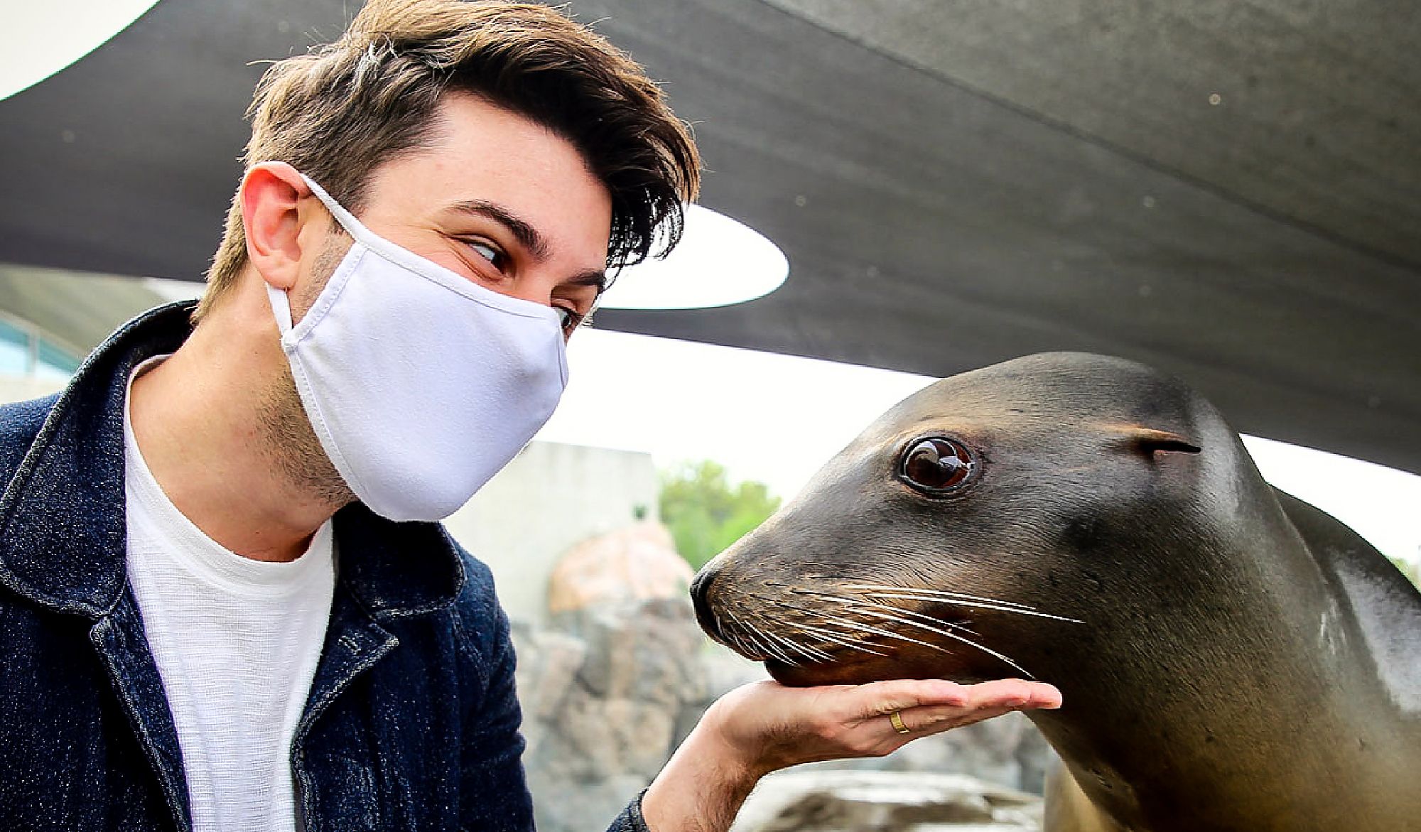 Sea lion and masked man