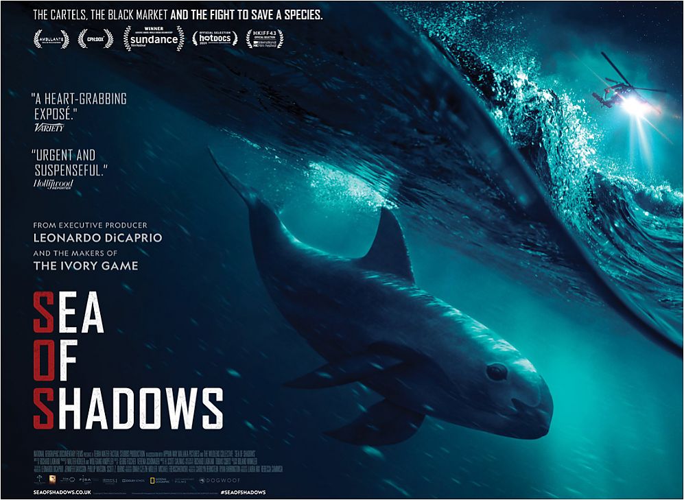 Sea of Shadows Poster