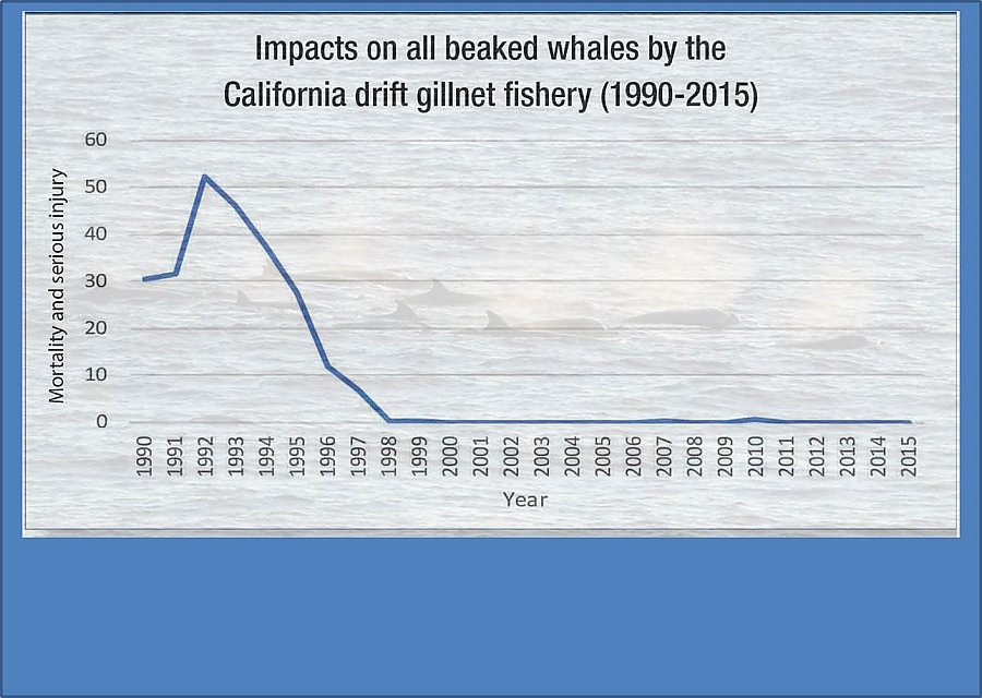 Beaked Whale impact graphic