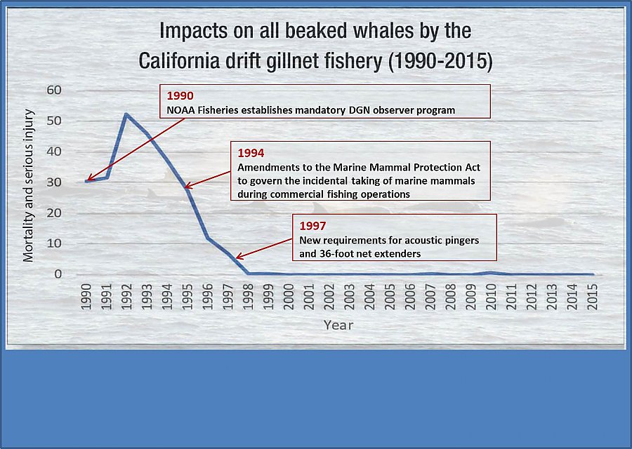 Graph of beaked whale impacts