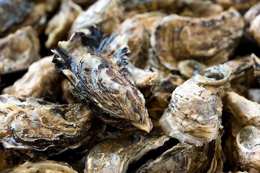 Learn more about the science and policy of responsible seafood.