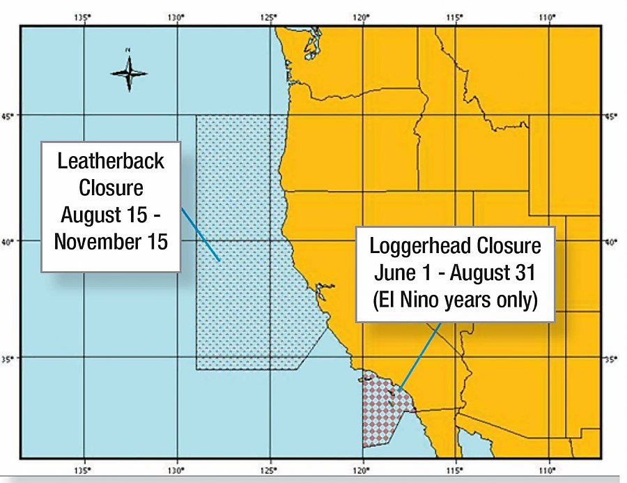 Leatherback closure area