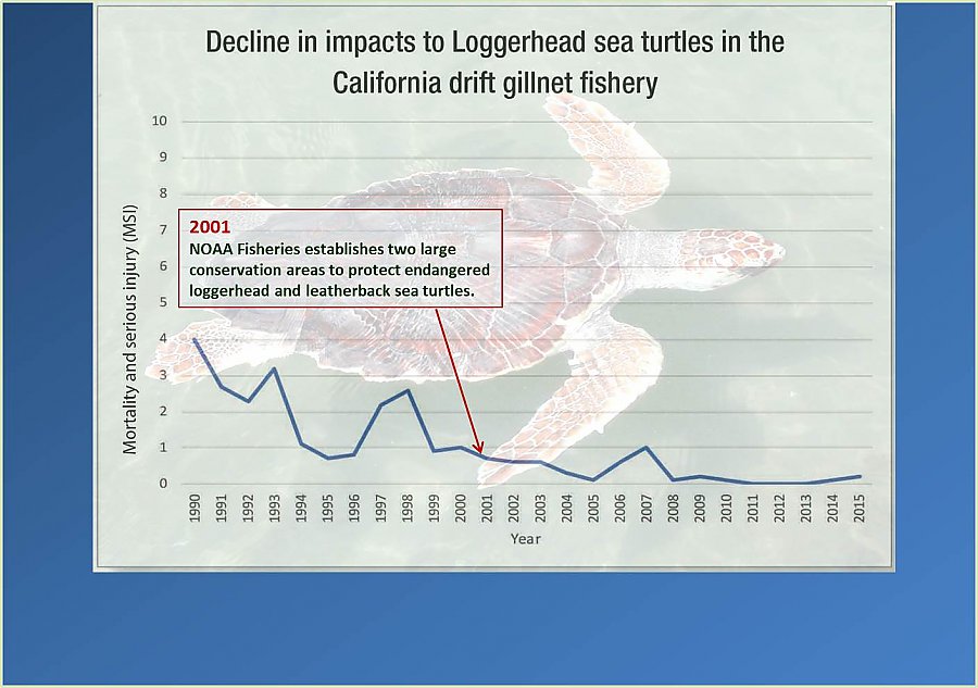 Graph of Loggerhead turtle impacts annotated
