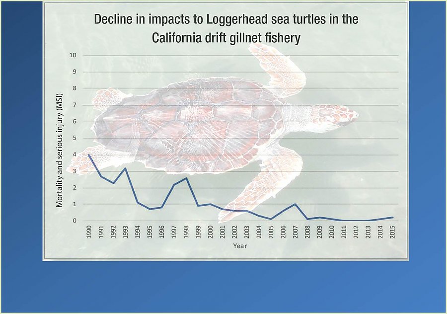 Graph of loggerhead turtle impacts